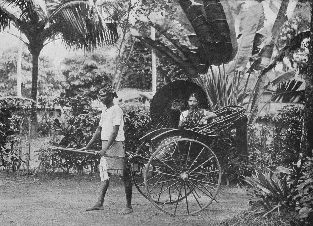 人力車のタミルレディー、c1890、1910 作： アルフレッドウィリアムアマンダスプレート
