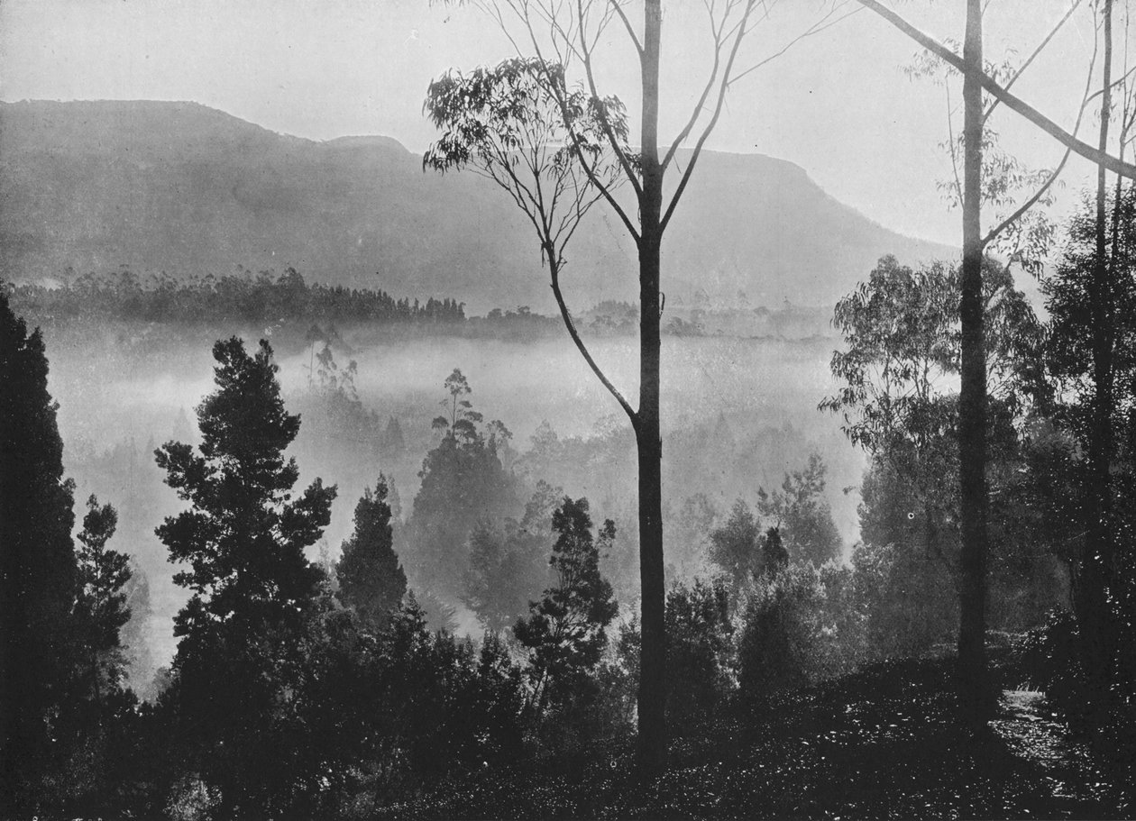 ヌワラエリヤで昇る早朝の霧、c1890、1910 作： アルフレッドウィリアムアマンダスプレート