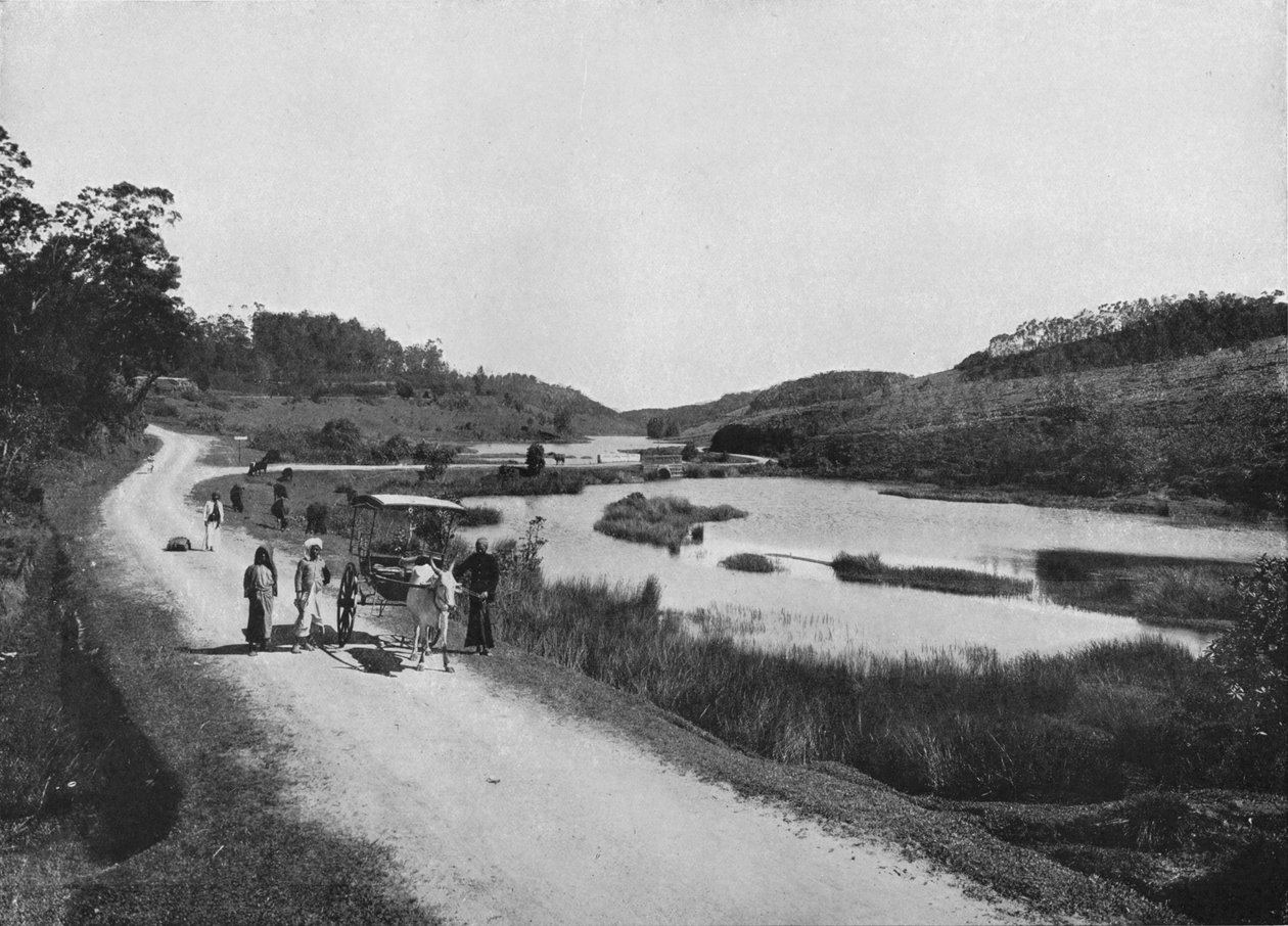 ムーンプレーンズ、ヌワラエリヤ、c1890、1910 作： アルフレッドウィリアムアマンダスプレート