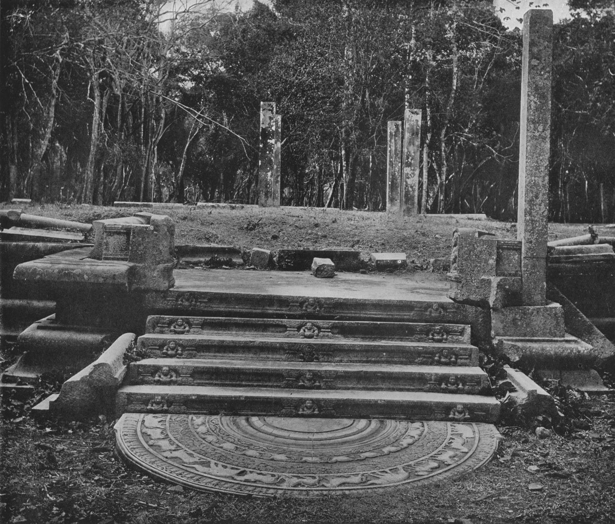 アヌラーダプラの廃墟の都市。ムーンストーンとステップ、c1890、1910 作： アルフレッドウィリアムアマンダスプレート