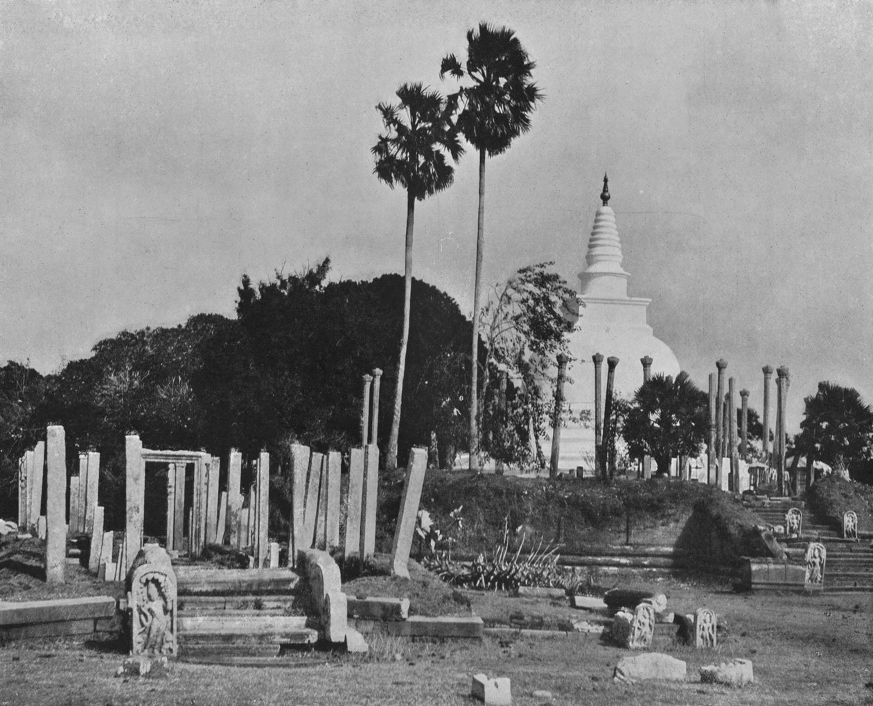 アヌラーダプラの廃墟の都市。 Thuparama Dagoba、c1890、1910 作： アルフレッドウィリアムアマンダスプレート