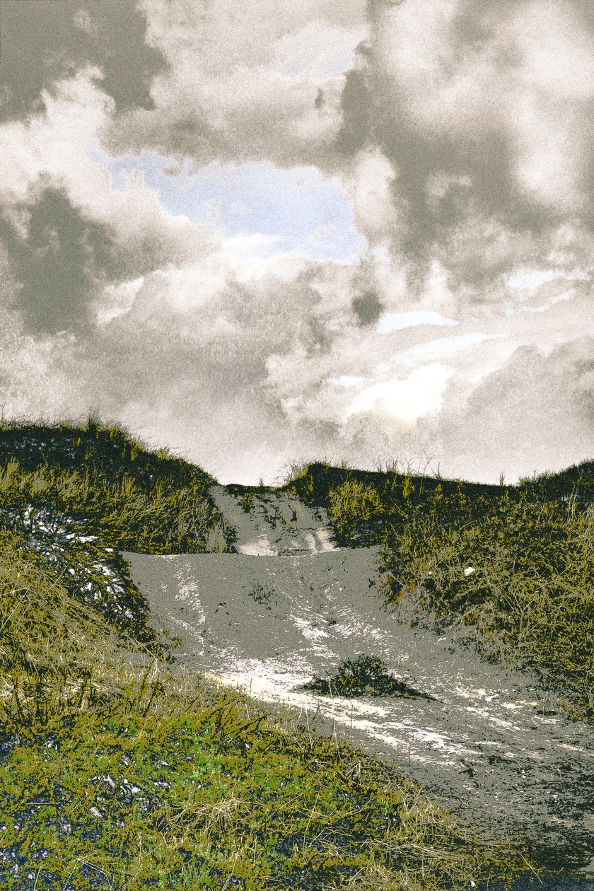 Beach Path, 2018（手描きのリペイント写真） 作： アリス・ガー・アリア