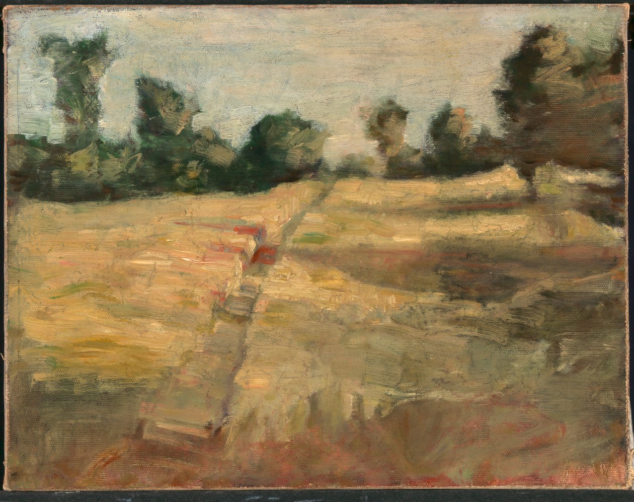 フィールド、カリフォルニア州。 1892年。 作： アリス・パイク・バーニー