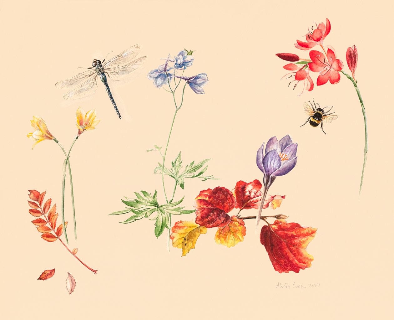 秋の花と虫たち 作： アリソン・クーパー