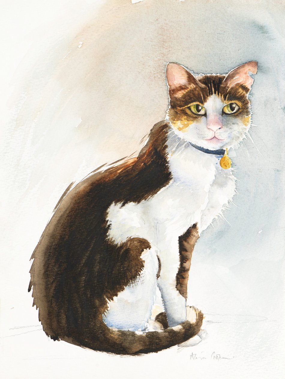 サウジ猫のデイブ、2019年（水彩） 作： アリソン・クーパー
