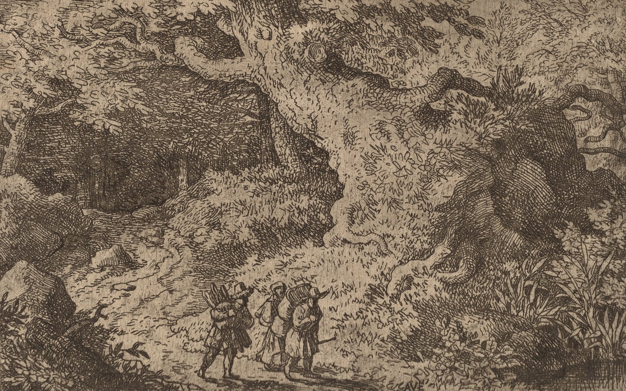 厚い森、おそらく c. 16451656。 作： Allart van Everdingen