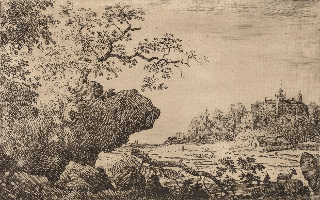 ブランチ・イン・ザ・ウォーター、おそらくc. 16451656。 作： Allart van Everdingen