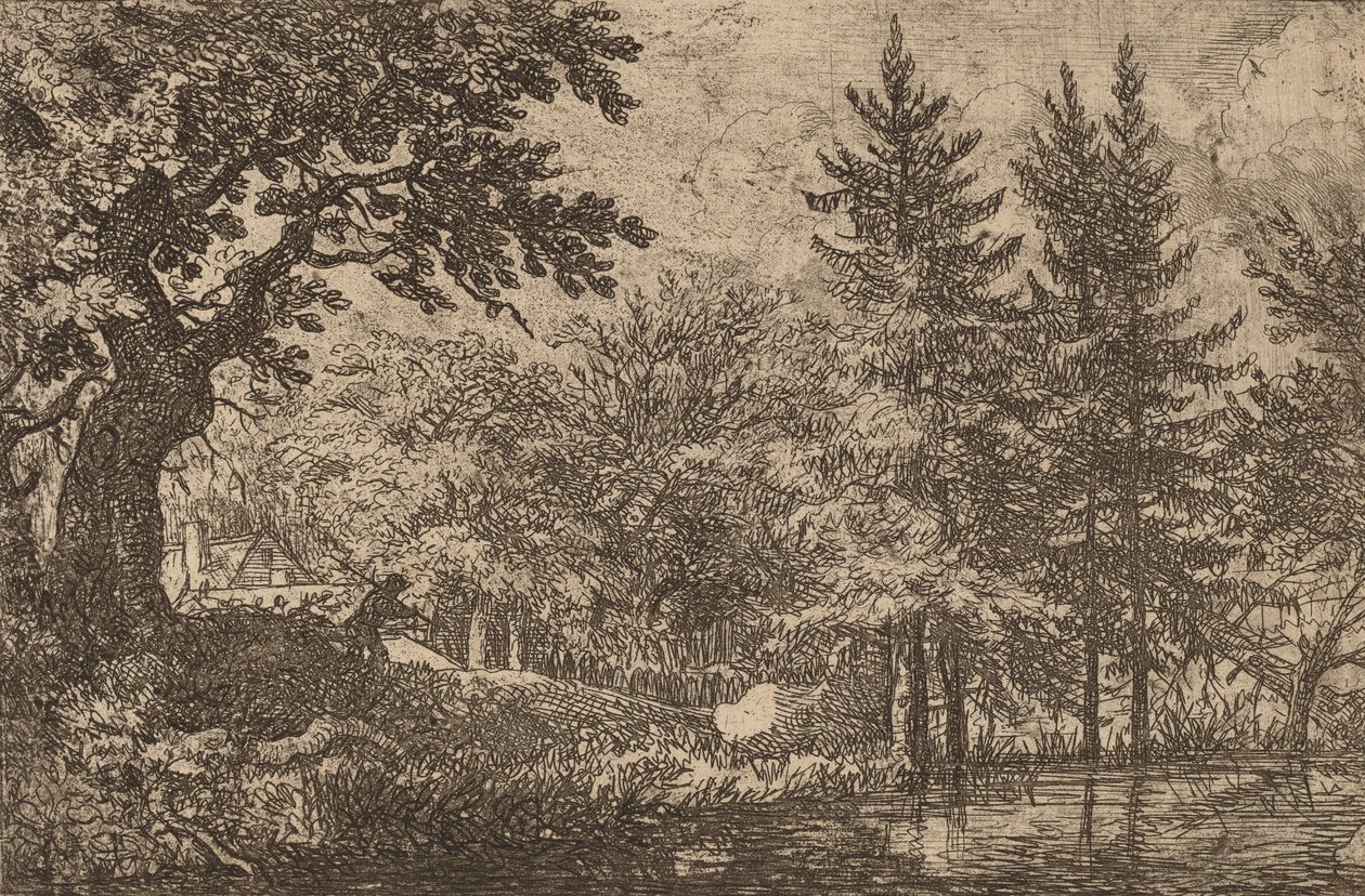 水辺のモミの木、おそらくc。 16451656。 作： Allart van Everdingen