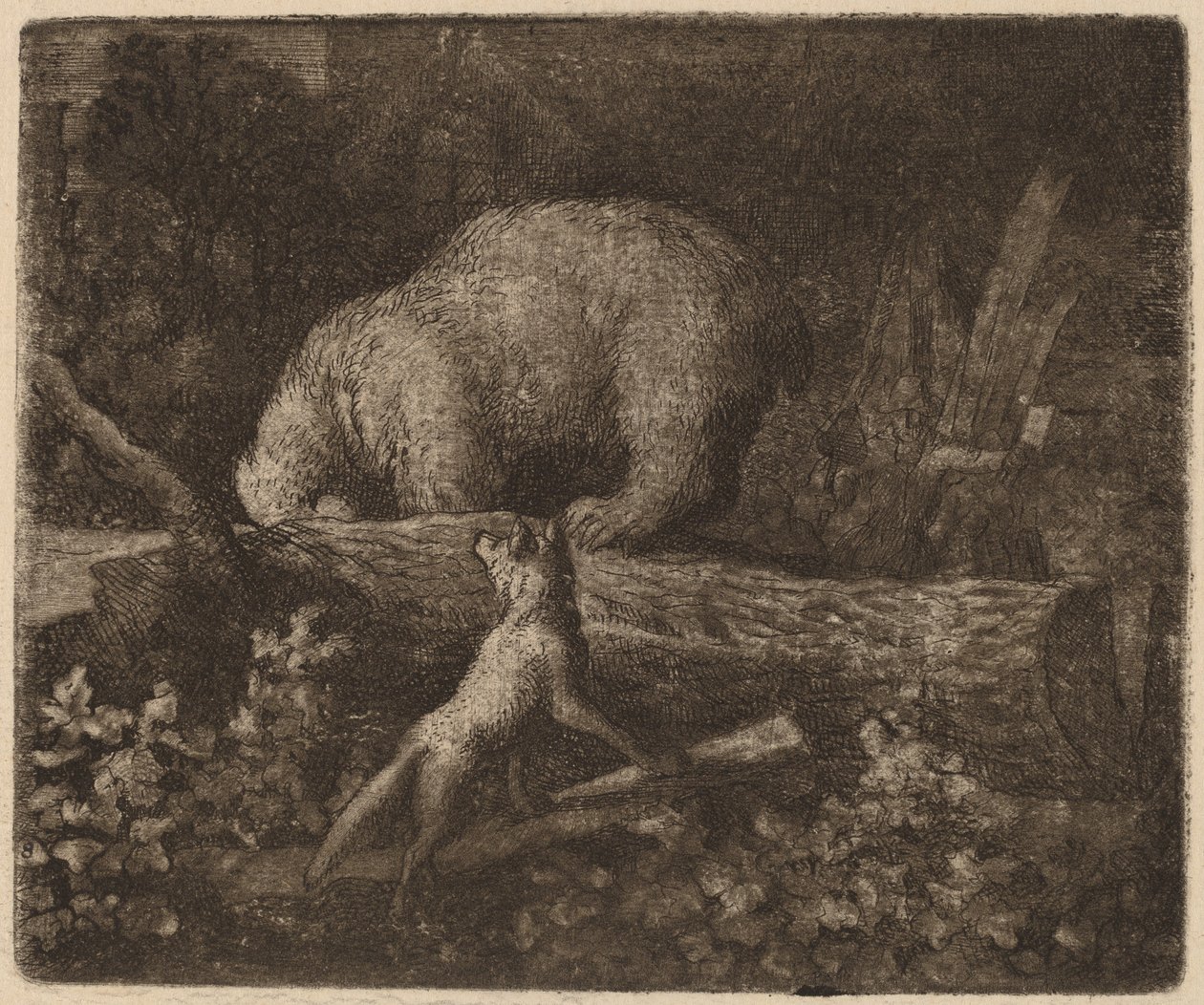 閉じ込められたクマ、おそらくc。 16451656。 作： Allart van Everdingen