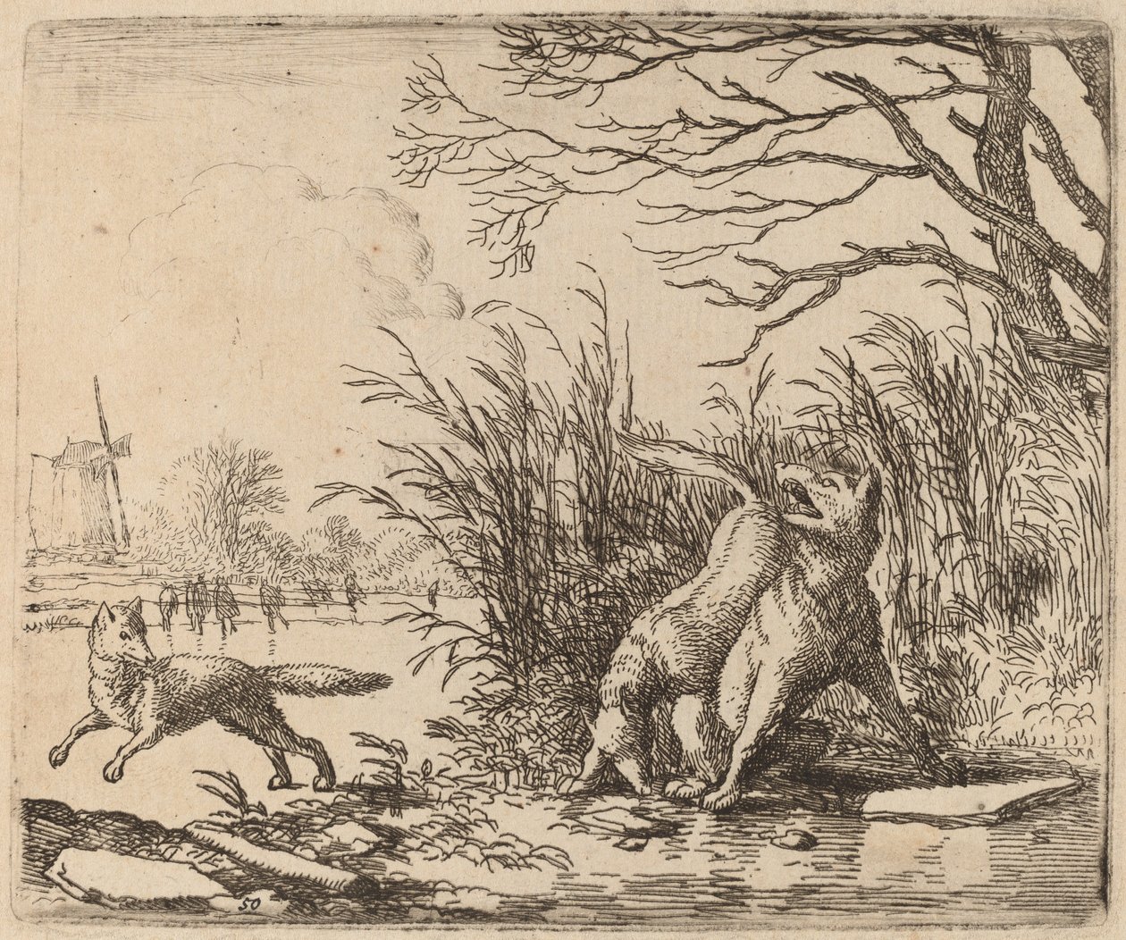 氷上のオオカミ、おそらくc。 16451656。 作： Allart van Everdingen