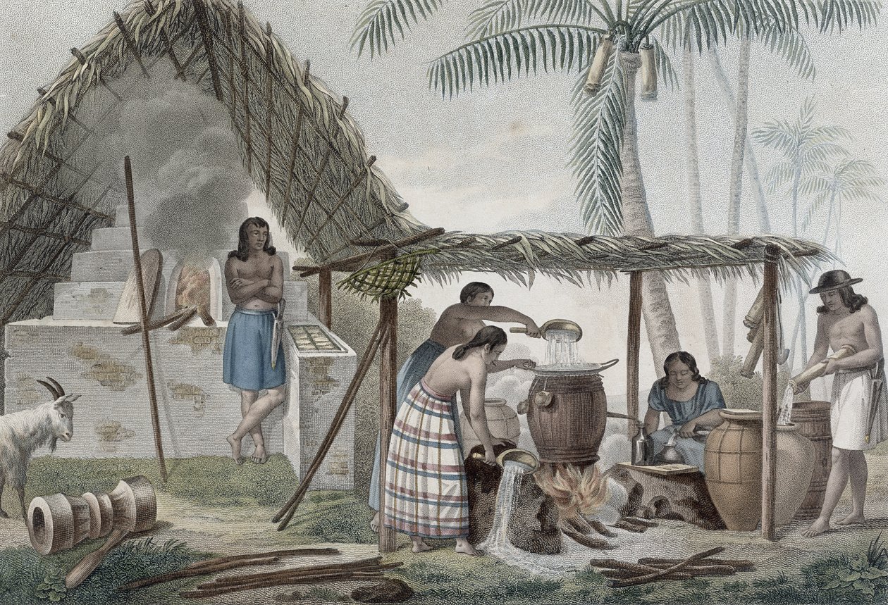 1825年に発行された、ポメルの彫刻が施された「航海オートールデュモンドシュルレコルベットドゥウラニー1817-20」からのグアム島の蒸留所の眺め 作： アルフォンスペリオン