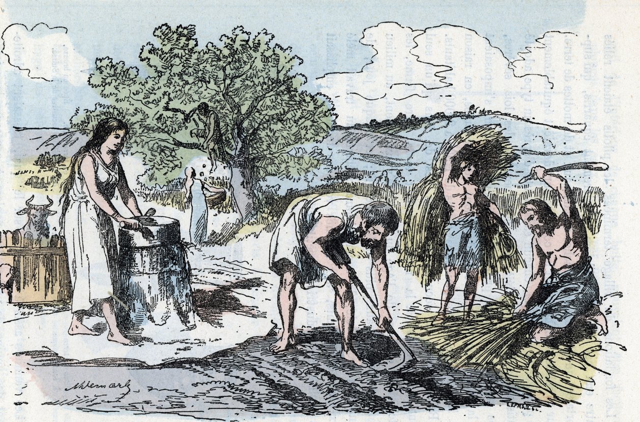 Daily life in Prehistory: scene of agricultural work in the age of iron Engraving from “” La nature et l