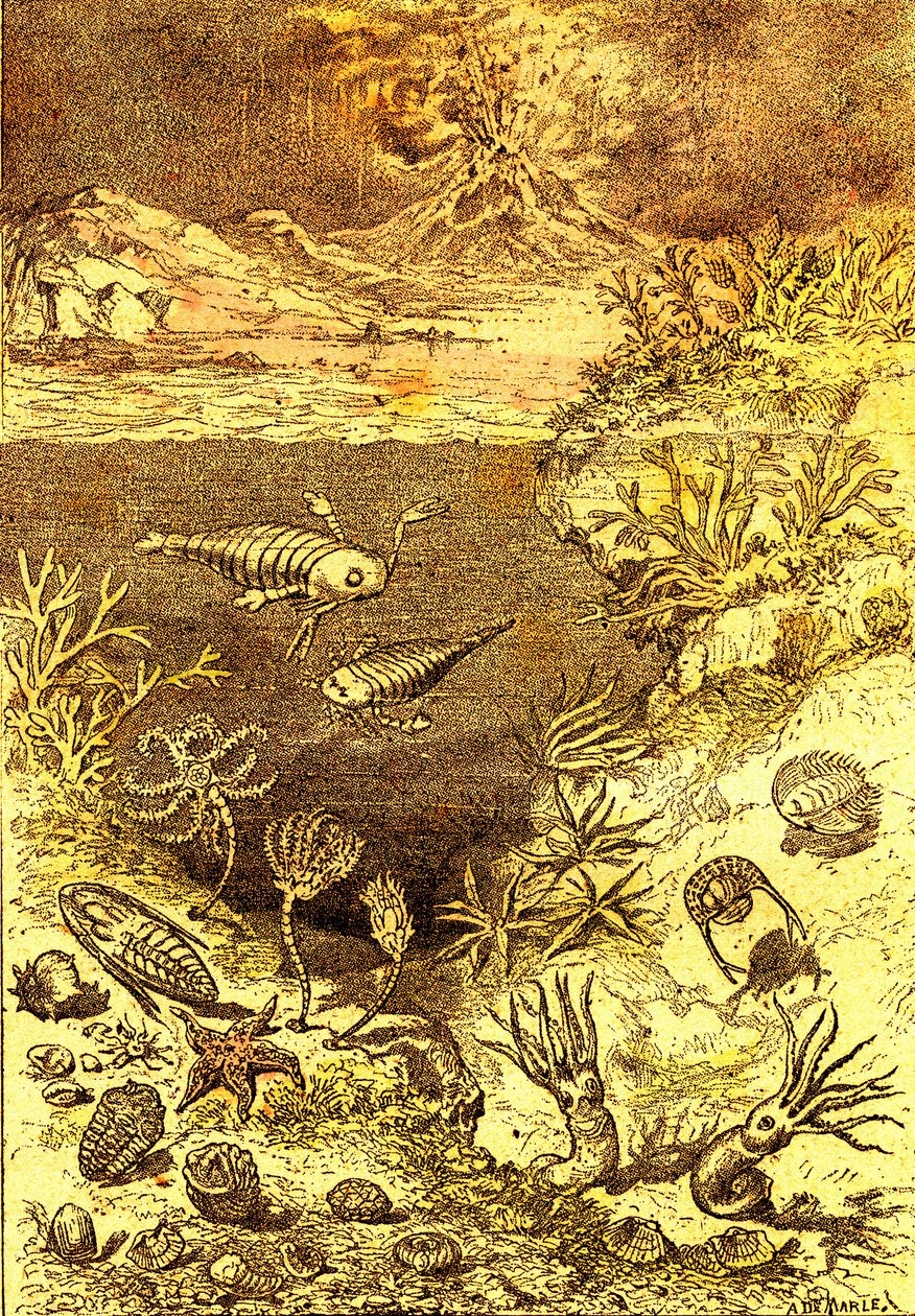 先史時代-シルル紀の終わり：自然創造と生物（J.レンガデ）A.デマールを描く。1885 作： アルフォンス・デマール
