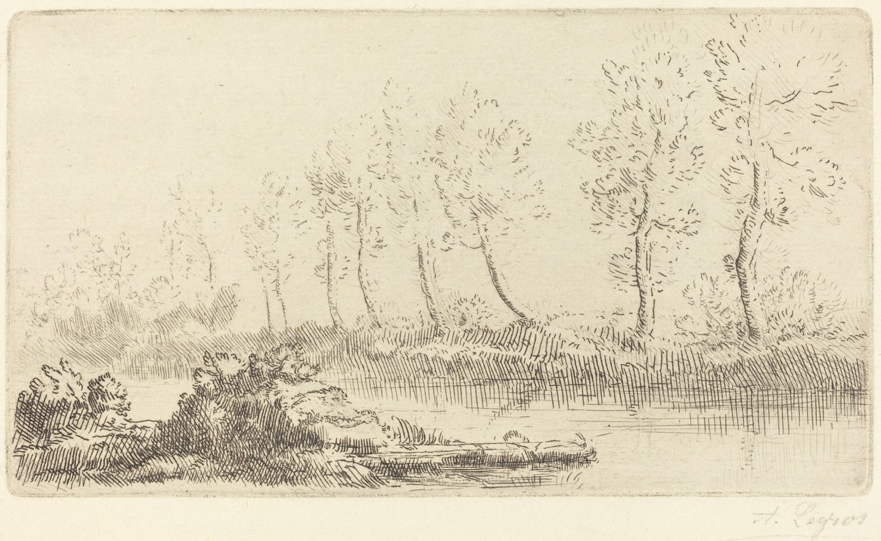 Adour Bord de l