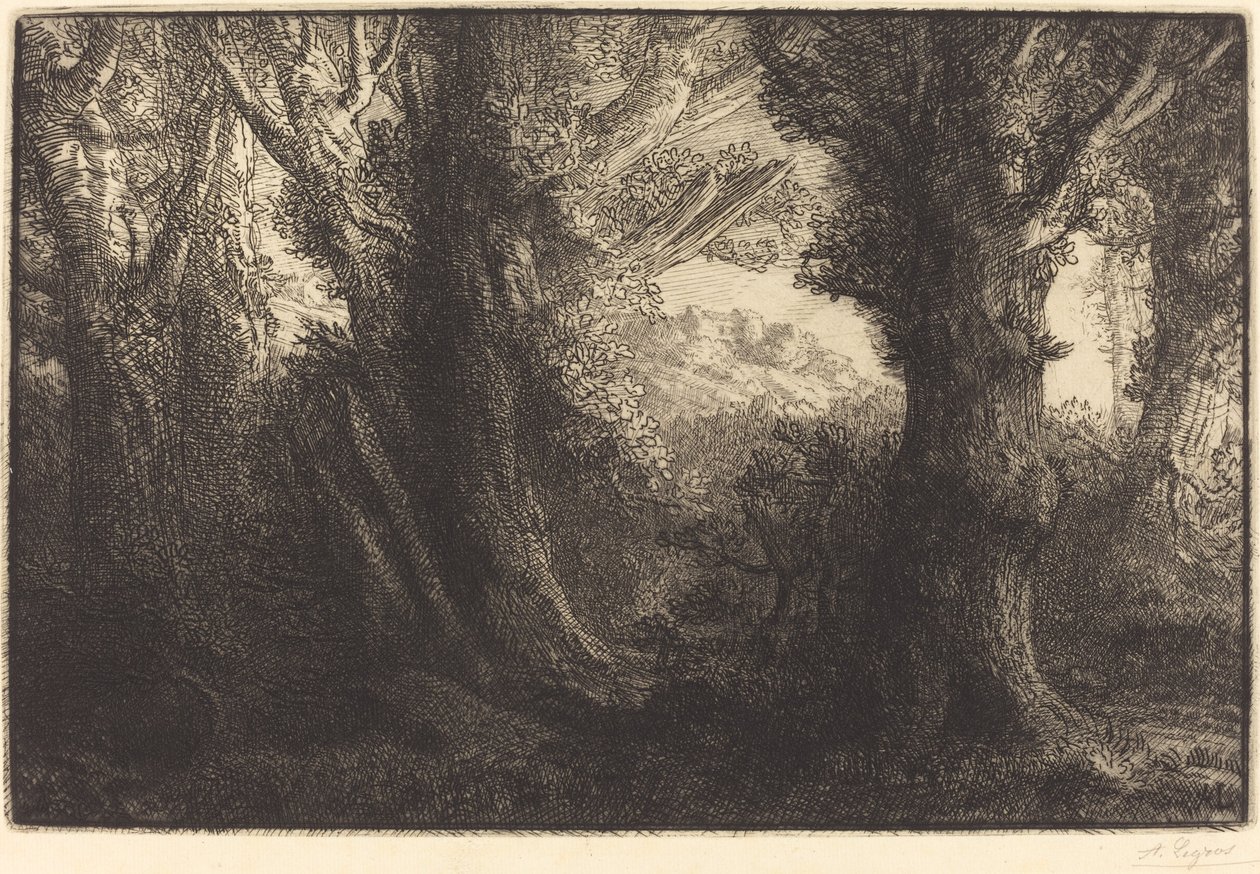 Conteville Dans la foret de Conteville の森で。 作： アルフォンス・レグロス