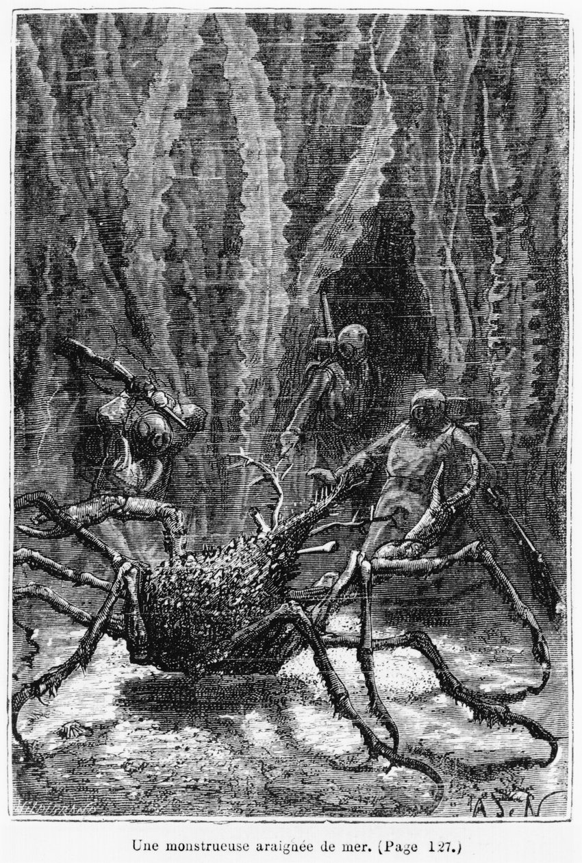 スパイダーカニ、ジュールヴェルヌ（1828-1905）による「海の下での20,000リーグ」のイラストアンリテオフィルヒルディブランド（1824-97）による彫刻パリ、ヘッツェル、1877年に出版 作： アルフォンス・マリー・ド・ヌーヴィル