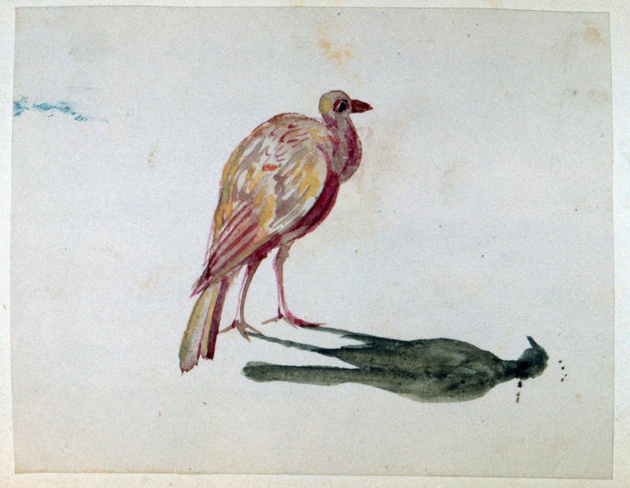 鳥」。水彩画。オーロール・アマディーヌ・リュシー・デュパン（1804-1876）フランスの小説家、フェミニスト。 作： アマンティンデュパン