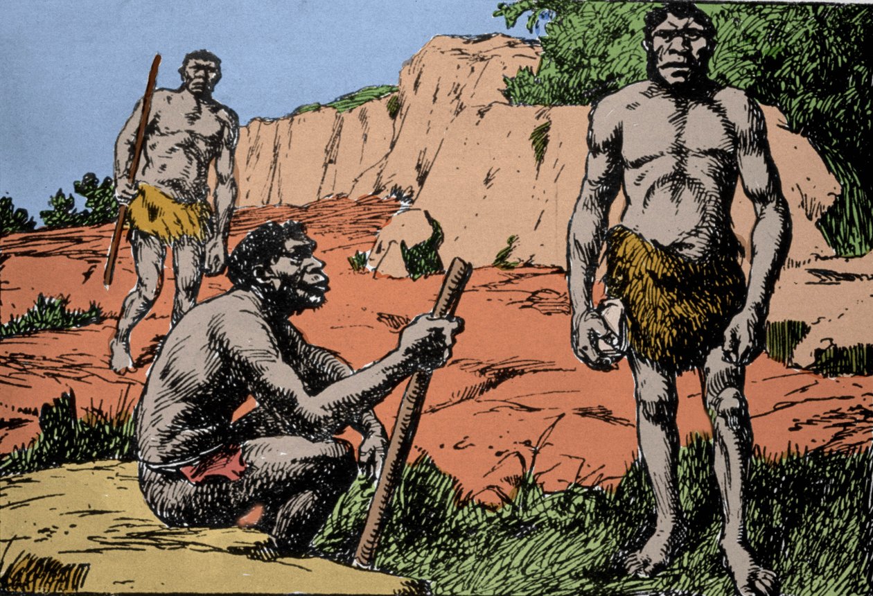 先史時代：ローデシア（現在のアフリカ、ザンビア）で化石が発見されたホモ・サピエンスの祖先、ホモ・ロデシエンシス（ブロークンヒルの人）を表現。A.フォレスティアが描いたもの。DR 作： アメディー・フォレスティエ