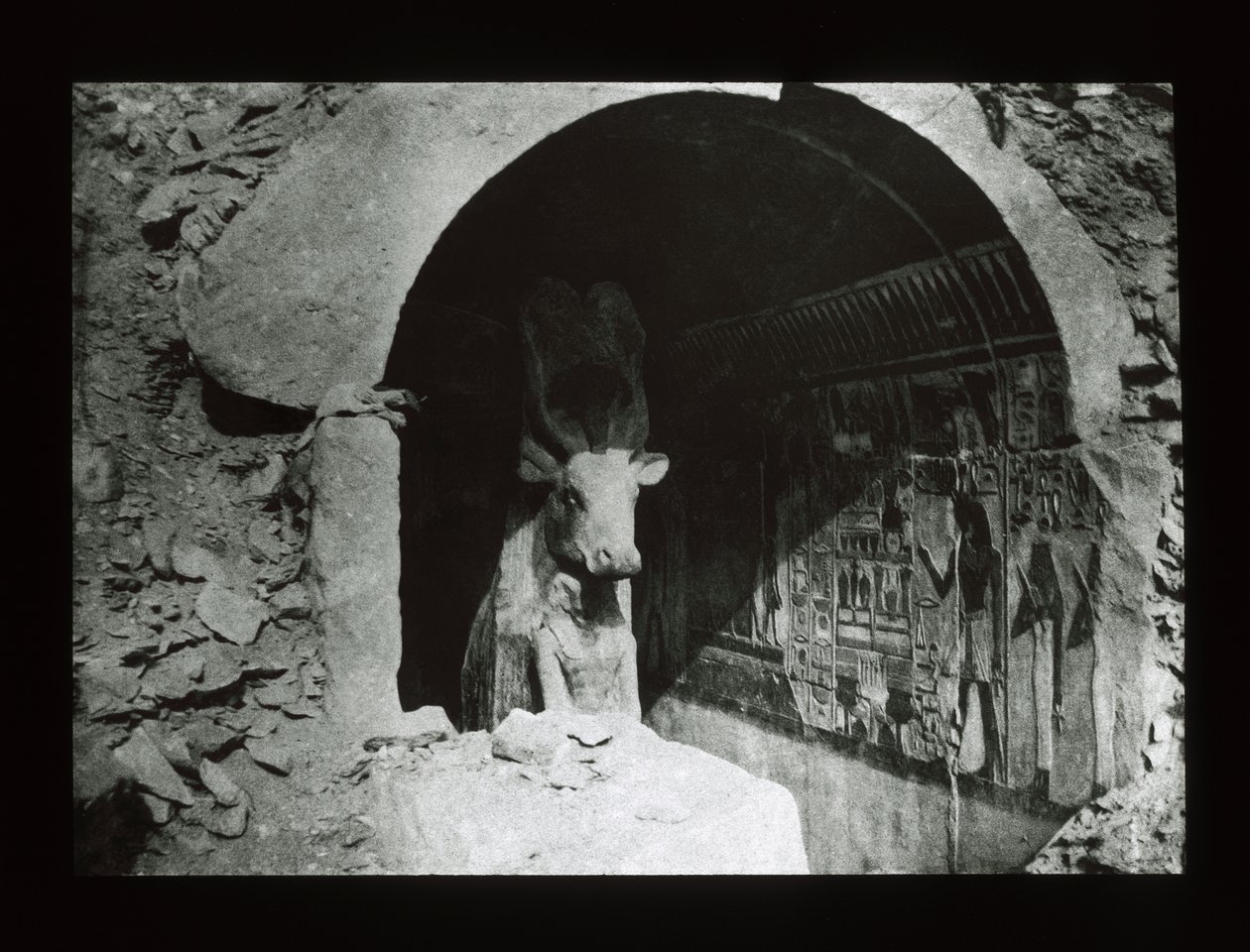 第18王朝の神殿、ハトホル牛（Deir El-Bahri）（ランタンスライド） 作： アメリカの写真家
