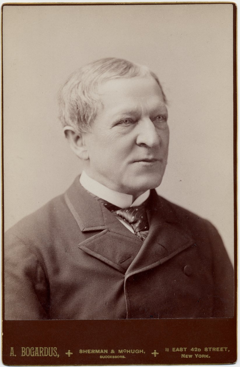 Levi Parsons Morton（1824-1920）、アメリカ合衆国第22副大統領。 A Bogardus、ニューヨークの写真（アルブメン写真） 作： アメリカの写真家
