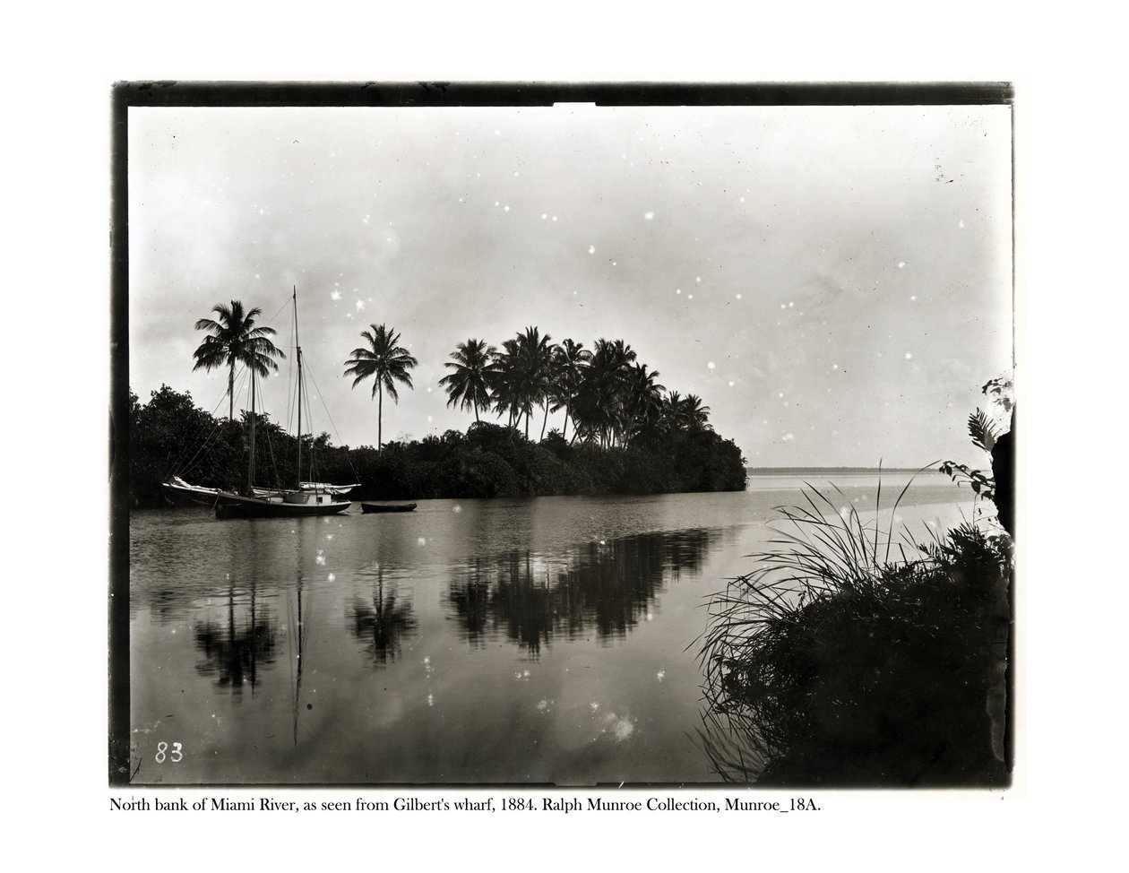ギルバーツワーフから見たマイアミ川の北岸、1884 作： アメリカの写真家
