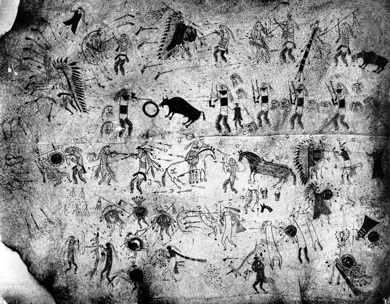 塗られたバッファローの皮、1900年頃 作： アメリカの写真家
