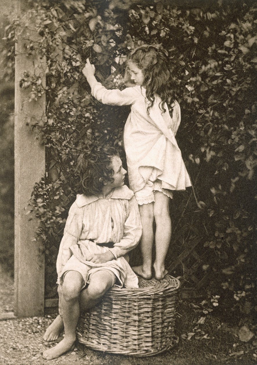 太陽の芸術家からの夏の庭：芸術写真の連続、Kegan Paul、Trench Trubner、ロンドン、1889-91から発行 作： アメリカの写真家
