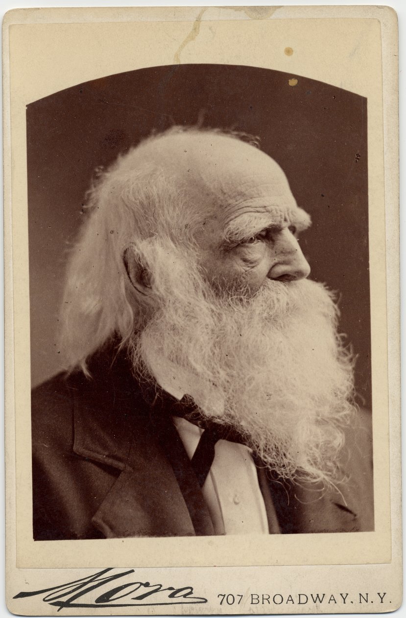 ウィリアム・カレン・ブライアント（1794-1878）、アメリカの詩人、写真：アルバートJモーラ、ニューヨーク（アルブメン写真） 作： アメリカの写真家