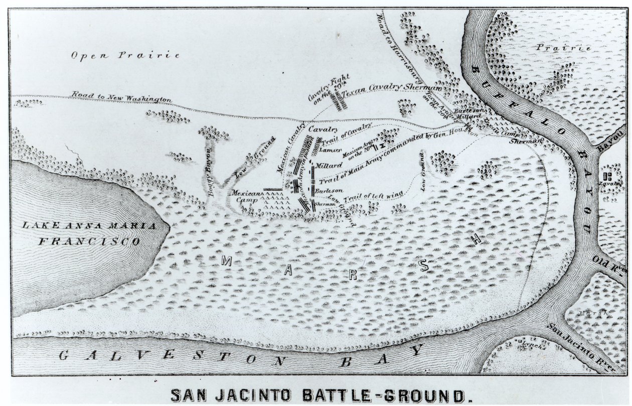 サンジャシントの戦いの平面図 作： アメリカの学校
