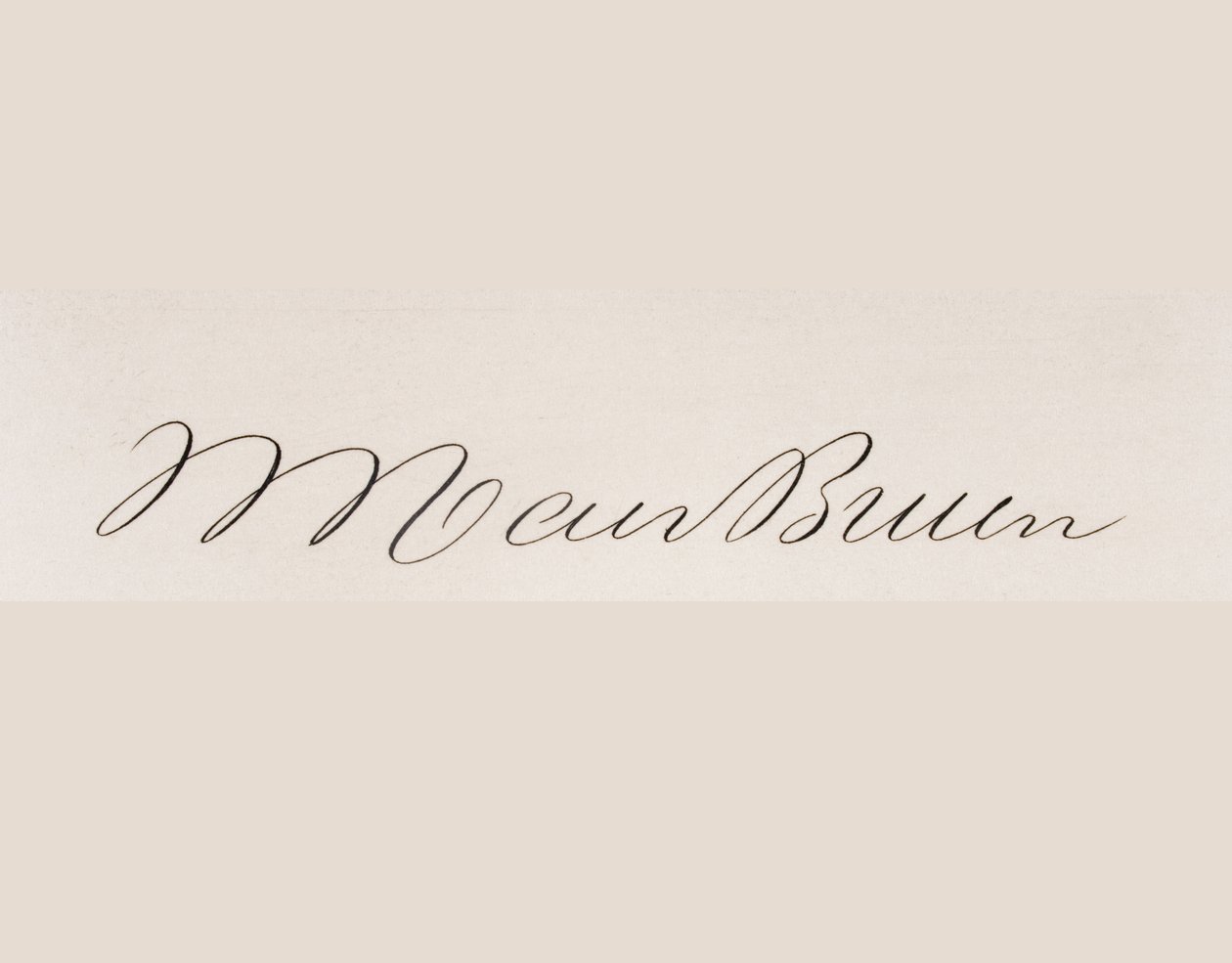 マーティンファンビューレンの署名 作： アメリカの学校