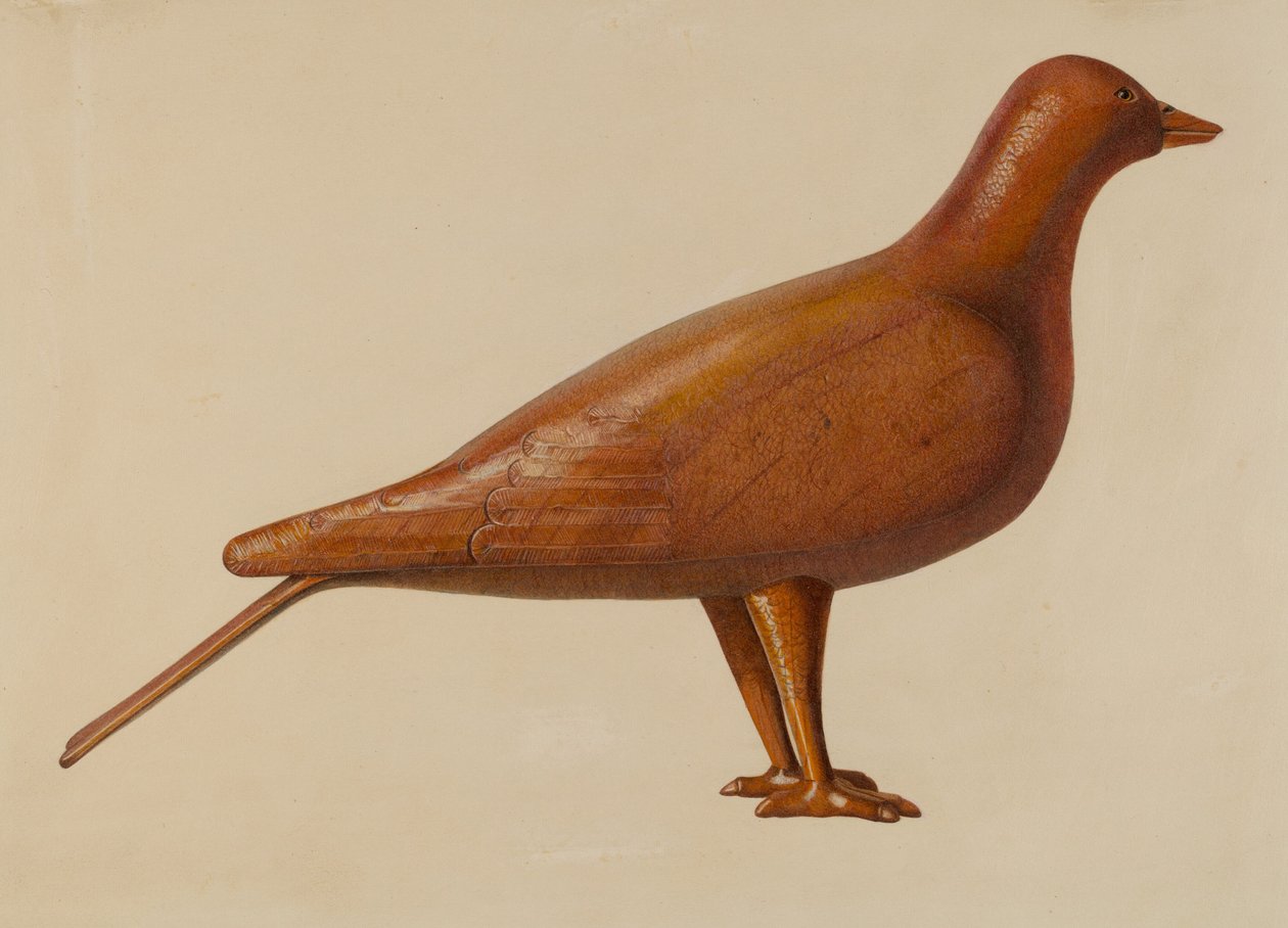 鳩のおとり 作： アメリカの20世紀