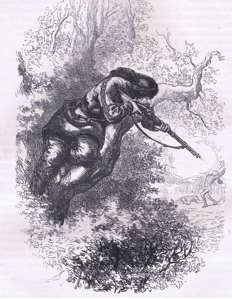 木の上に立つアメリカ人射手（1900年頃、Cassell, Petter & Galpin社発行のCassells History of the United Statesからのイラスト）（リトグラフ版 作： アメリカ英語学校