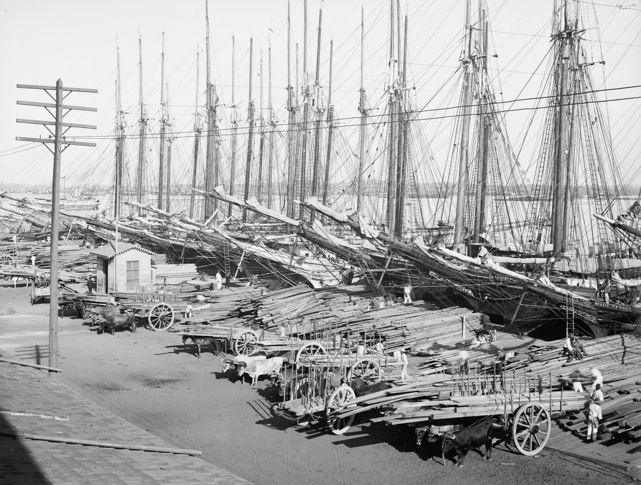 Muelle Tallapiedras, Havana, c.1904 (bw/photo) 作： アメリカの写真家