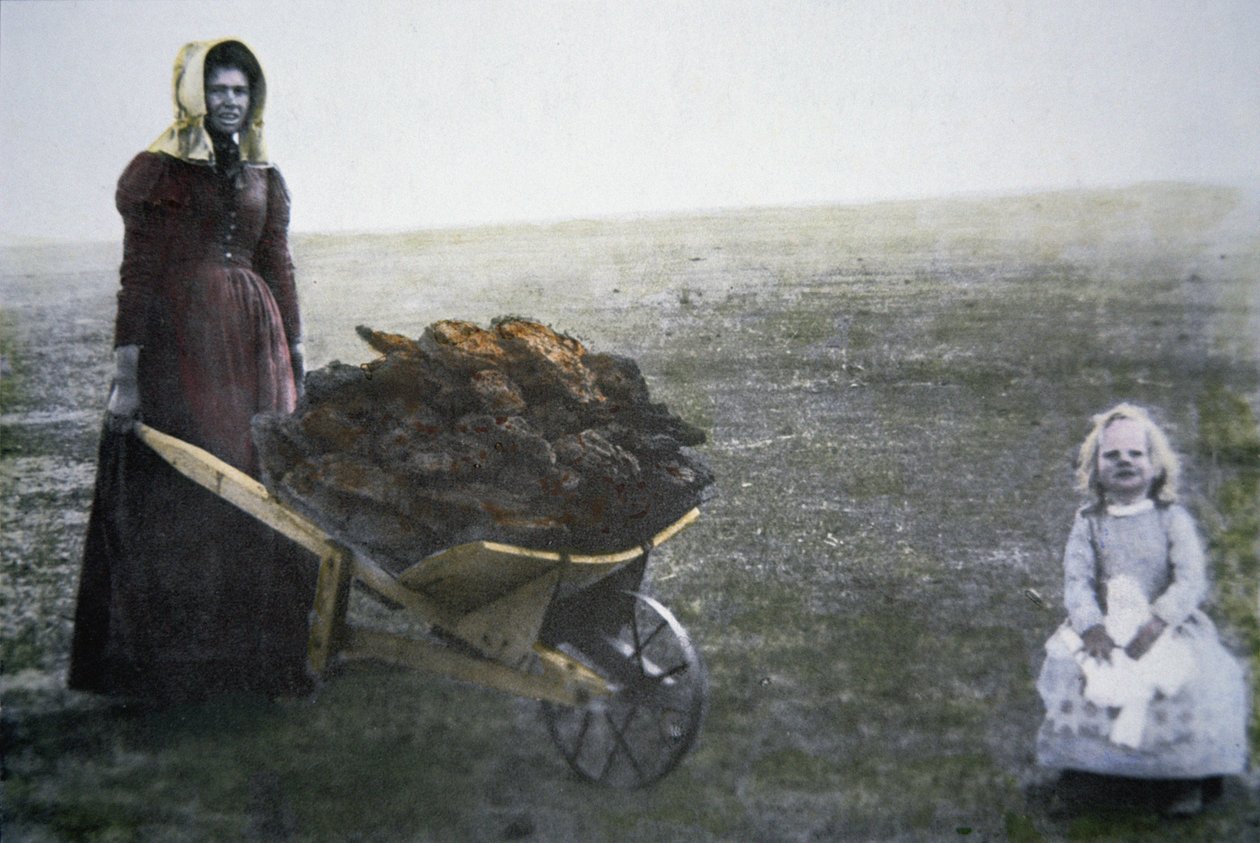 牛の糞を集める開拓者の女性（カンザス州、1880年頃）（カラー写真 作： アメリカの写真家