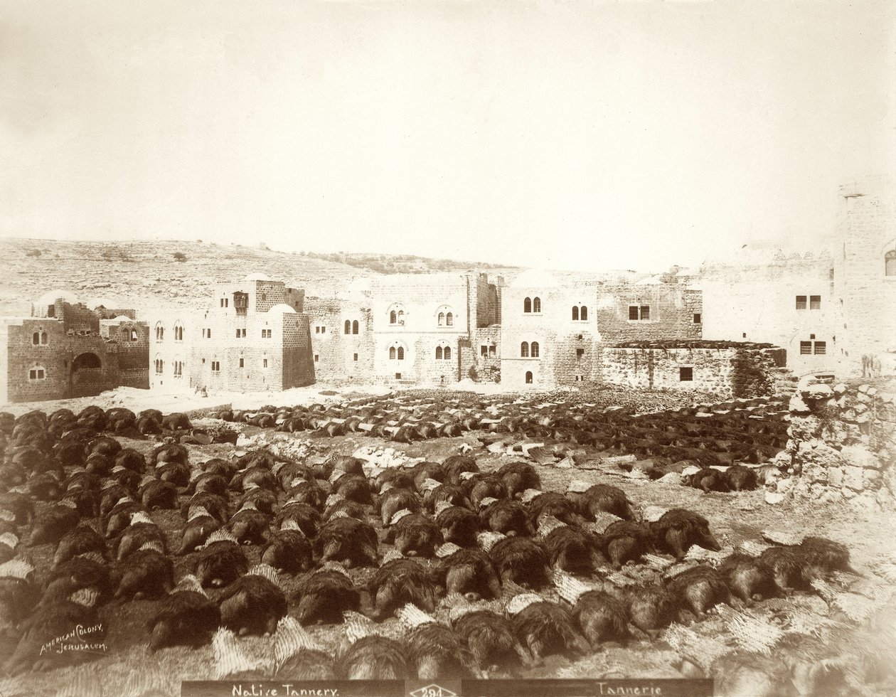 ヘブロンの皮なめし工場で、手前に皮革が敷かれています。1898〜1911年 作： アメリカの写真家