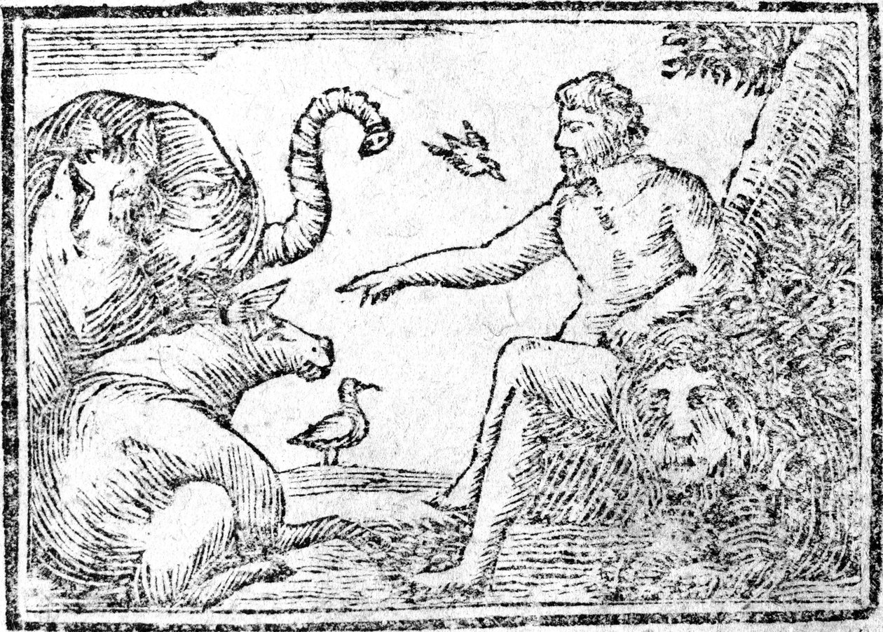 動物に名前を付けるアダム、聖書の歴史の要約からの挿絵、1794年発行 作： アメリカの学校