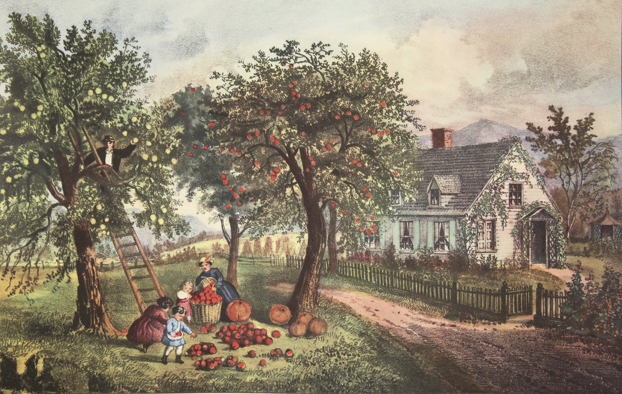 アメリカンホームステッド-秋、パブ。 1869年、キュリアーとアイブス 作： アメリカの学校