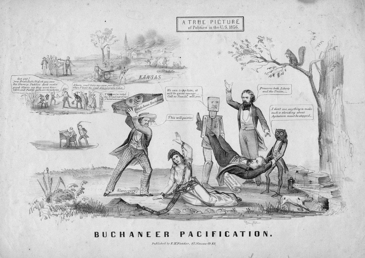 ブシャニアの鎮静; EHフレッチャー発行、ニューヨーク、1856年 作： アメリカの学校