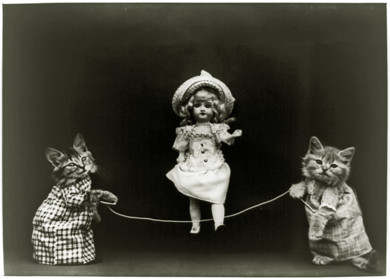 猫の好奇心、1891 作： アメリカの学校