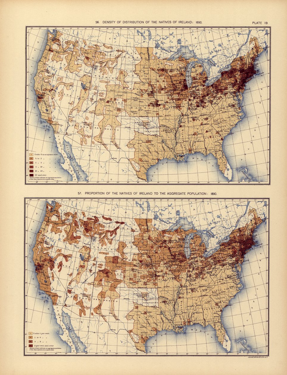 アイルランドの原住民の分布密度と総人口に対するそれらの割合、1898年 作： アメリカの学校