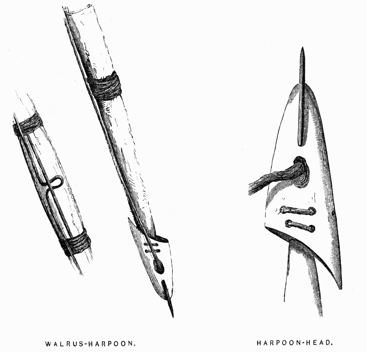 エスキモーの狩猟用具。銛 - エリシャ・ケント・ケイン『Artic Exlorations in the Year 1853-1855』第1巻、p.412、フィラデルフィア 作： アメリカの学校