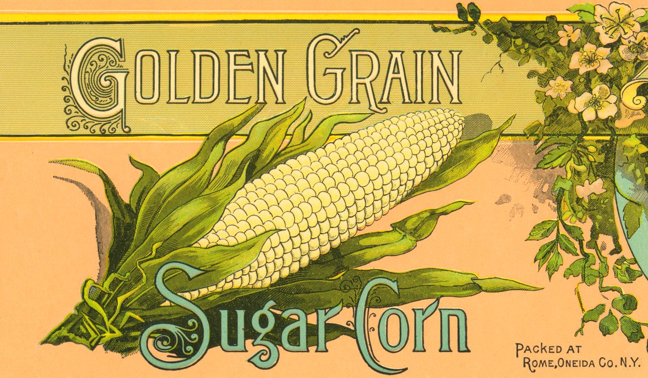 ゴールデン・グレイン・シュガー・コーン製品のラベル、1890年頃（カラーリトグラフ） 作： アメリカの学校