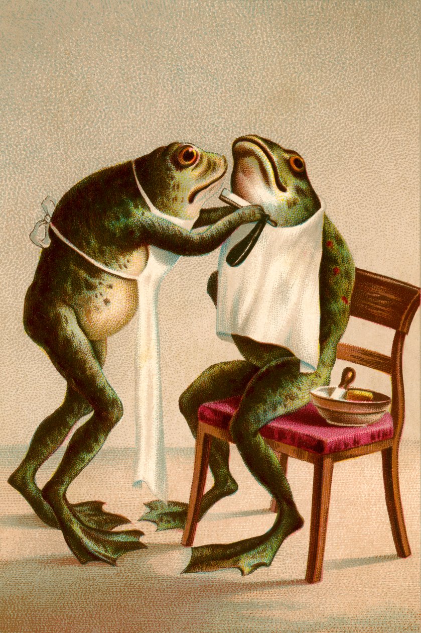 髭を剃るカエルのユーモラスなイラスト 作： アメリカの学校