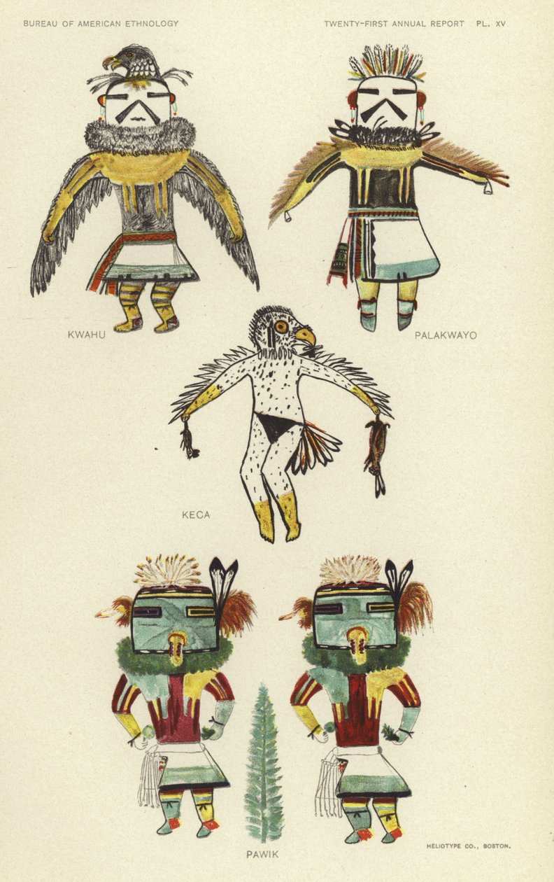 Kwahu、Palakwayo、Keca、Pawik（カラーリトグラフ） 作： アメリカの学校