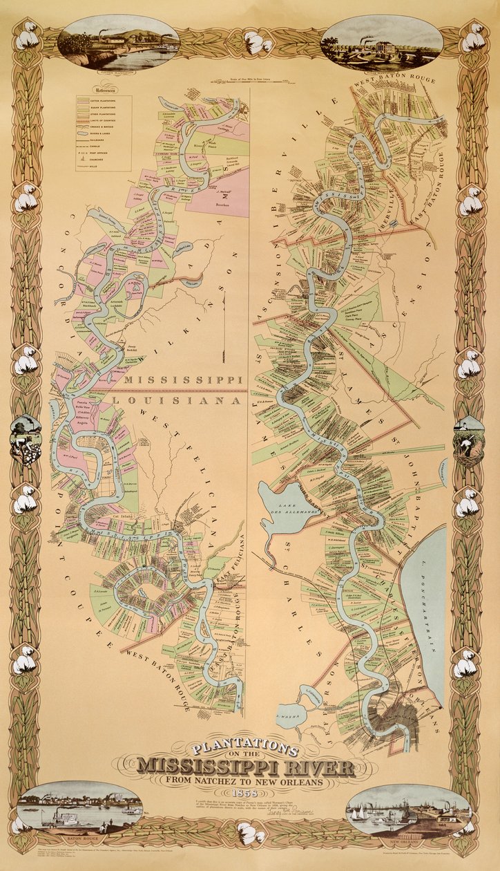 ナチェスからニューオーリンズまでのミシシッピ川のプランテーションを描いた地図、1858 作： アメリカの学校