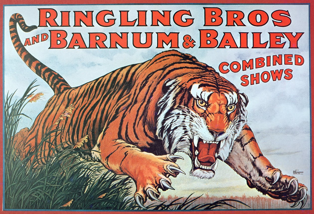 Ringling Bros. and Barnum & Bailey Combined Shows」の宣伝ポスター 作： アメリカの学校