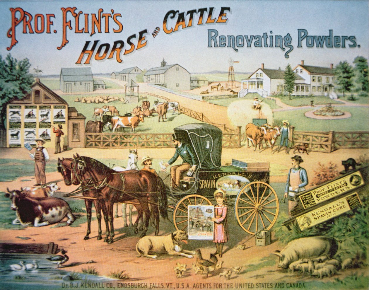フリント教授の馬と牛の改良用パウダー」1900年頃（カラーリトグラフ 作： アメリカの学校