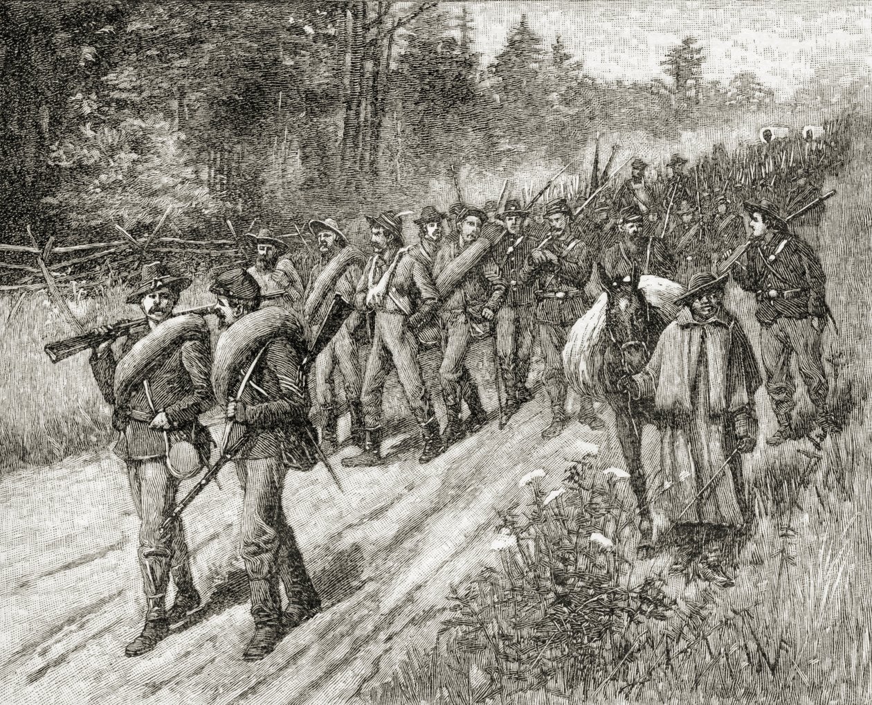 1885年にASバーンズウント社が発行した「米国の簡単な歴史」からの1865年の海への行進中のシャーマン軍 作： アメリカの学校
