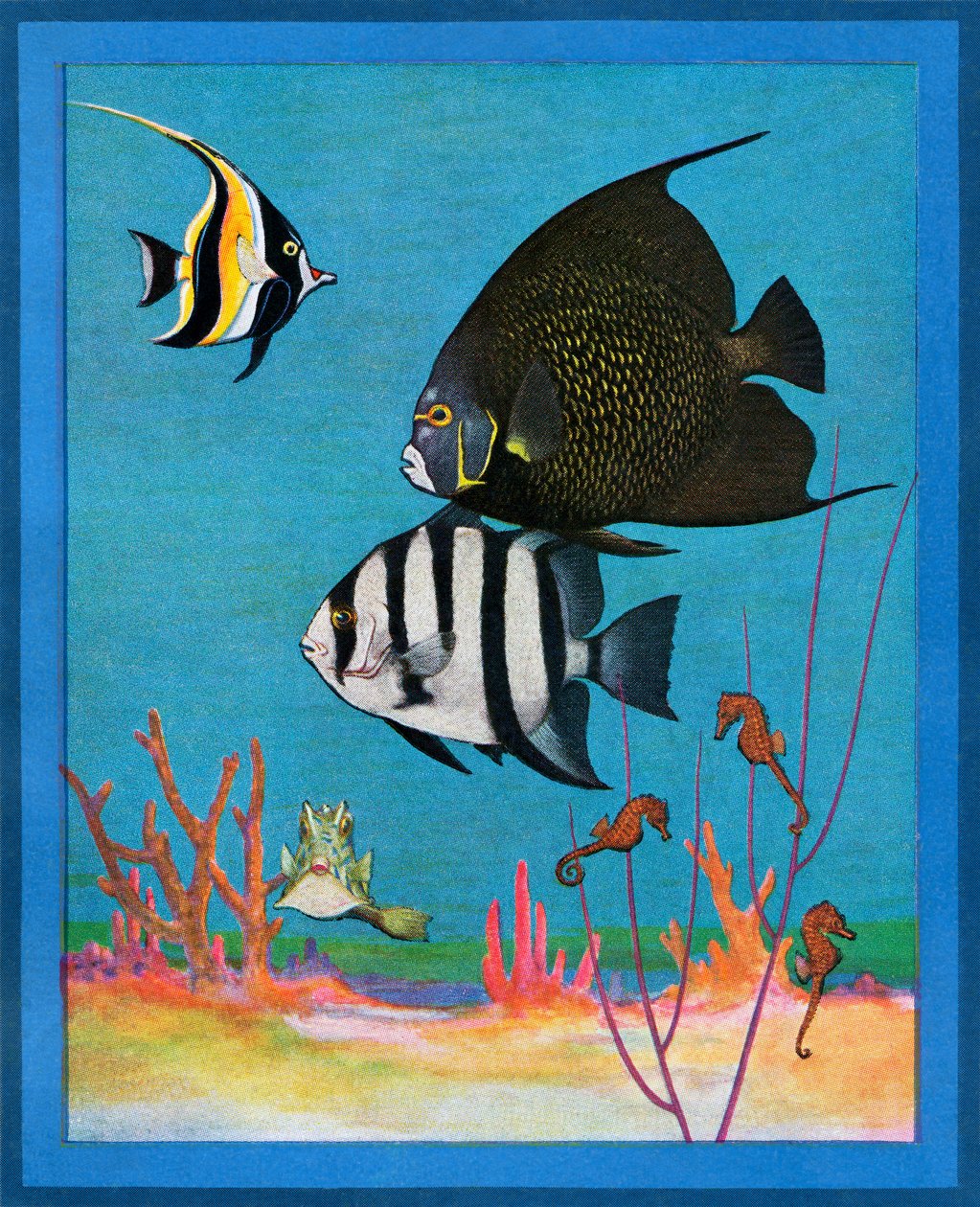 熱帯魚と海水水槽のヴィンテージ・プリント 作： アメリカの学校