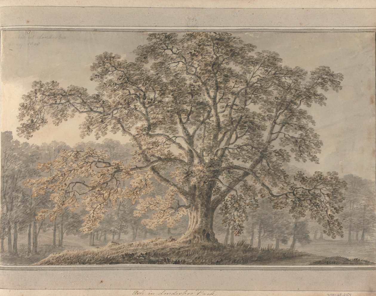 Views in England, Scotland and Wales: Ash in Londesbro Park, May 1800   1433740   ja       japanese Successfully Translated  Original: Port Translat: Port 1448729 ja japanese Successfully Translated Original: Gateway, Canterbury Cathedral (etching on india 作： アモスグリーン